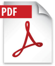 ico_pdf